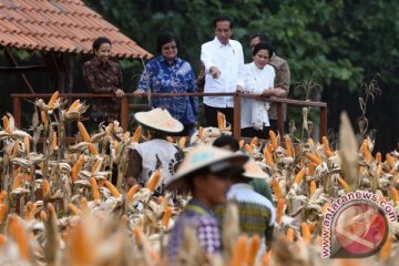 Rini: Perhutanan sosial tingkatkan ekonomi petani