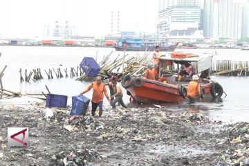 Pemprov DKI terus upayakan pembersihan sampah di Angke