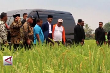 Presiden tinjau pembangunan irigasi dan jalan produksi