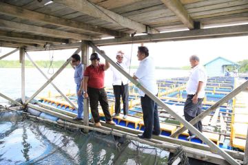 Kerambah nelayan Desa Penage di Bintan