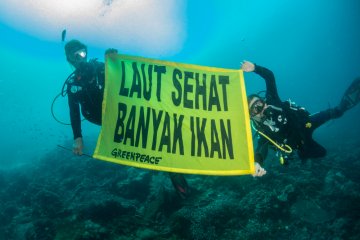 Jangkar kapal wisata bahayakan terumbu karang Raja Ampat
