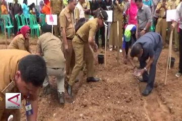 Petani sulap lahan Galian C jadi ladang kedelai