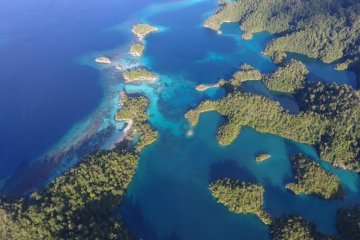 Diving terbaik di Indonesia ternyata ada di Halmahera Selatan