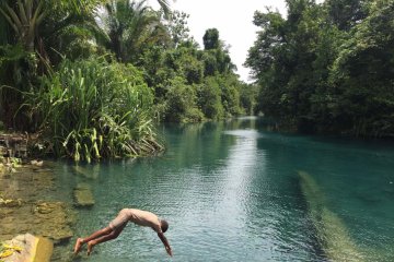 Warga Papua gelar demo  tuntut hutan adat