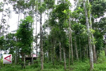 Kesejahteraan berbasis pemanfaatan lahan