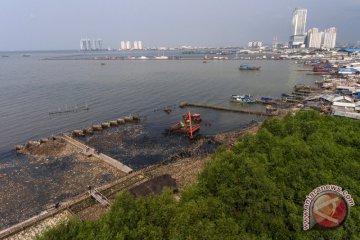 Pelatihan budi daya mangrove di Jakarta