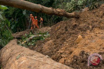 Longsor di Vietnam tewaskan 15 orang