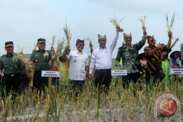 Konsolidasi mahasiswa pertanian hasilkan deklarasi Bogor