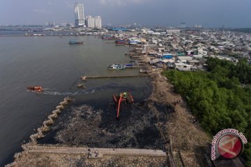 Pembersihan sampah hutan mangrove