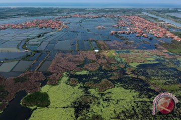 Pembangunan tanggul laut di Pekalongan tunjukkan progres positif