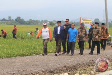 KemenPUPR laksanakan padat karya tunai irigasi Cirebon