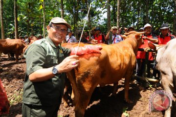 Dirjen: Perubahan Permentan untuk keberpihakan kepada peternak dan industri susu