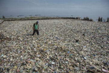 Pakar: "pulau sampah plastik" Pasifik jauh lebih besar dari dugaan