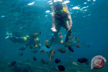 Wisata bawah laut Lombok