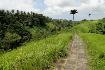 Menikmati olahraga dan alam di Bukit Campuhan, Ubud