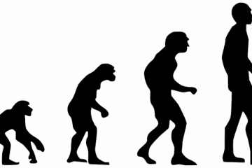 Homo sapiens awal lebih canggih dari dugaan