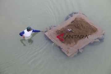 PENAMBANG PASIR SUNGAI