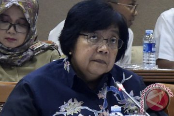 Menteri Siti minta segera evakuasi buaya muara di Priok