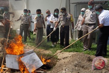 Pemusnahan daging tikus beku