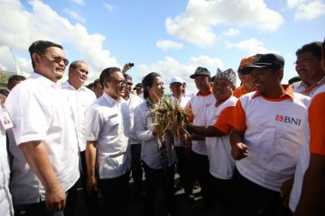 Rini Soemarno panen raya program "Serap Gabah Petani"