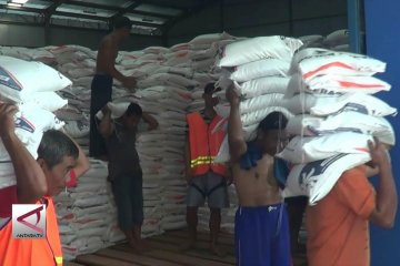 Bulog Kedu serap 5.100 ton beras
