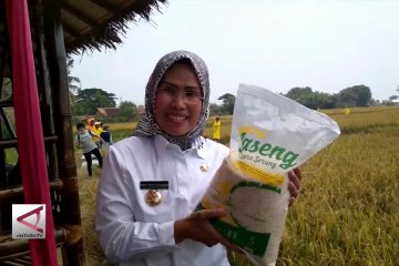 Membeli padi petani demi sejahtera bersama