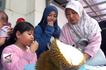 PT KAI gelar festival buah lokal  durian