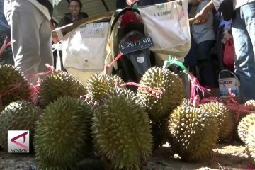 Upaya Unibraw mewujudkan Kawasan Durian Unggul