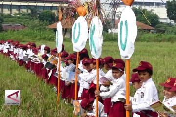 Ratusan anak membaca di area Persawahan