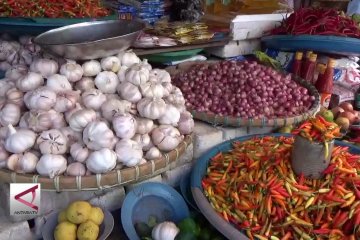 Kemendag: Sanksi importir bawang putih di pasar tradisional
