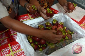 Salak-manggis diminati pengunjung pameran buah di Guangzhou