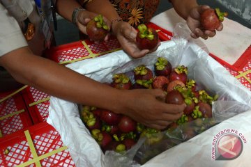 Importir China akui kualitas manggis Bali