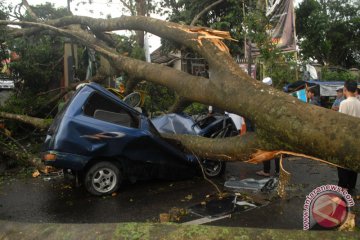 Di Labuhanbatu angin kencang rusak 35 rumah