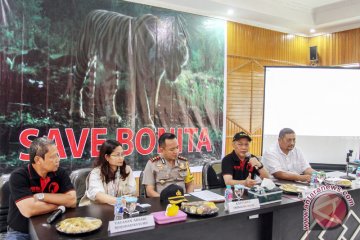 Harimau Bonita Ditangkap