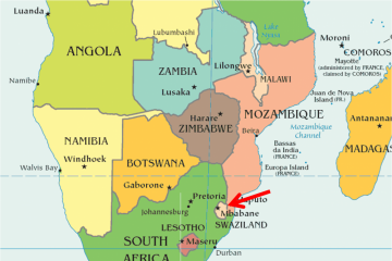 PM ESwatini dibawa ke Afrika Selatan untuk perawatan COVID
