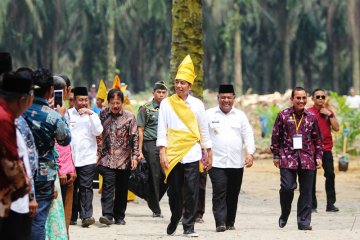 Kunker Presiden ke Rokan Hilir