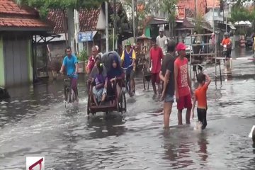 Korban banjir rob di Pekalongan capai 6000 jiwa