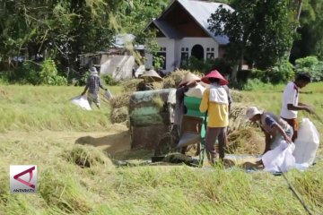 Tenaga penyuluh pertanian di Sumbar masih minim