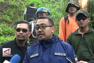 BNN upayakan alih fungsi lahan ganja ke pertanian