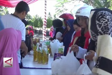 Pemkab Kapuas sediakan bahan pohon berharga murah