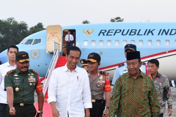 Presiden akan saksikan peremajaan sawit di Riau