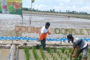 Bumdes mitra potensial memajukan ekonomi petani