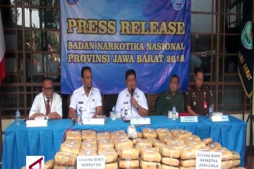 BNN Jabar gagalkan penyelundupan 1/2 ton ganja