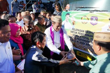 Mentan lepas ekspor jagung Gorontalo ke Filipina