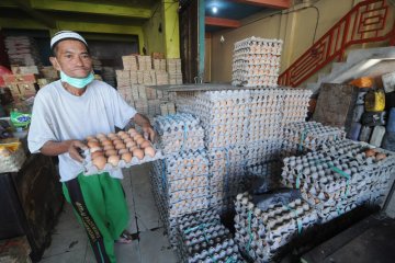 Harga telur ayam naik