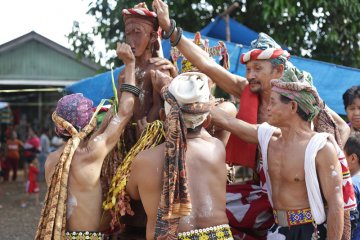 Ritual Adat Belian Bawo