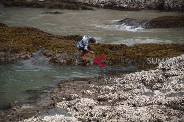 MANCING IKAN