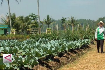 Meningkatkan produktivitas dengan teknologi pertanian