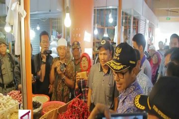 Pemprov Sumbar siagakan stok daging beku