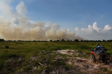 Kesulitan Memadamkan Kebakaran Lahan